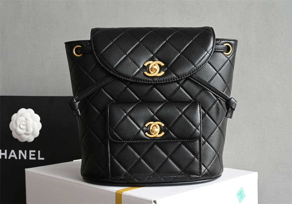 Chanel duma backpack 21x20.5x10cm 2025 new 